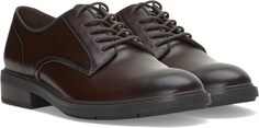 Оксфорды Ferdie Oxford Vince Camuto, цвет Dark Brown