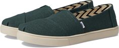 Кроссовки Alpargata Cupsole TOMS, цвет Stormy Green Heritage Canvas