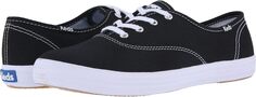 Кроссовки Champion Canvas Lace-Up Keds, цвет Black Canvas