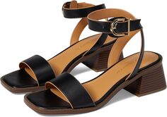 Босоножки Tafita Heeled Sandal Tommy Hilfiger, черный