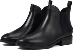 Ботильоны Laina Bootie Cole Haan, цвет Black Princess Leather/Tonal Gore