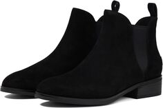 Ботильоны Laina Bootie Cole Haan, цвет Black Canary Suede/Tonal Gore