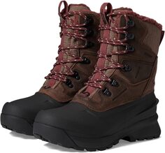 Зимние ботинки Chilkat V 400 Waterproof The North Face, цвет Deep Taupe/TNF Black