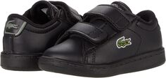 Кроссовки Carnaby Evo Bl 21 1 SUI Lacoste, цвет Black/Black