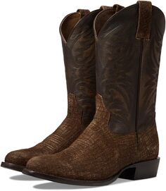 Ковбойские сапоги Bankroll Western Boots Ariat, цвет Hippo Tan Suede/Brooklyn Brown
