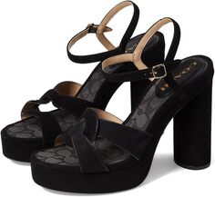 Босоножки Talina Suede Sandal COACH, цвет Black/Black