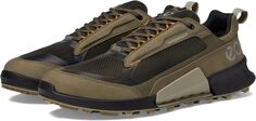 Походная обувь водонепроницаемая BIOM 2.1 X MTN Waterproof Low Sneaker ECCO Sport, цвет Grape/Leaf/Tarmac/Black