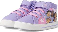 Кроссовки Encanto High-Top Sneaker Josmo, фиолетовый