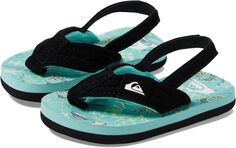 Шлепанцы Molokai Layback Quiksilver, цвет Blue/Blue/Green