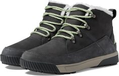 Зимние ботинки Sierra Mid Lace Waterproof The North Face, цвет Asphalt Grey/Misty Sage