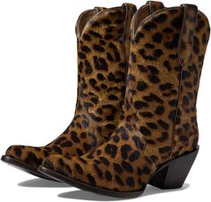 Ковбойские сапоги Bandida Western Boot Ariat, цвет Leopard Hair On