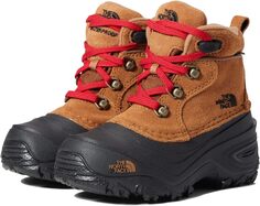 Зимние ботинки Chilkat Lace II The North Face, цвет Toasted Brown/TNF Black