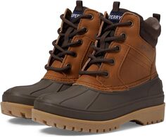 Резиновые сапоги Storm Hopper Sperry, цвет Tan