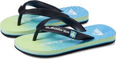 Шлепанцы Molokai Art Quiksilver, цвет Blue/Blue/Green 2