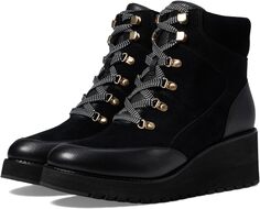 Ботинки на шнуровке Zerogrand City Wedge Hiker Waterproof Cole Haan, цвет Black/Black Waterproof