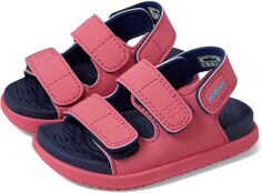 Сандалии на плоской подошве Frankie Sugarlite Native Shoes Kids, цвет Dazzle Pink/Regatta Blue/Dazzle Pink