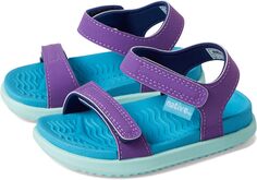 Сандалии на плоской подошве Charley Sugarlite Native Shoes Kids, цвет Starfish Purple/Maria Blue/Hydrangea Blue
