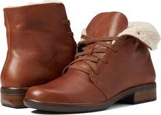 Ботинки на шнуровке Pali Naot, цвет Soft Chestnut Leather