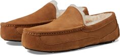 Тапочки Wide Ascot UGG, цвет Chestnut