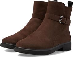 Ботильоны Amsterdam Buckle Ankle Boot ECCO, цвет Coffee Suede