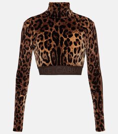 Жаккардовый укороченный топ с леопардовым принтом Dolce&amp;Gabbana, коричневый