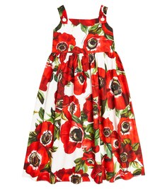 Платье из хлопкового поплина с цветочным принтом Dolce&amp;Gabbana Kids, белый