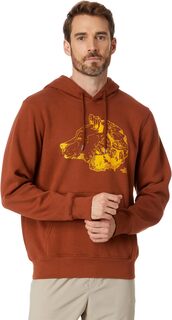 Пуловер с капюшоном TNF Bear The North Face, цвет Brandy Brown/Bear Graphic