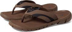 Шлепанцы O Coil Sandals Oakley, цвет Carafe