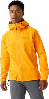 Толстовка Gamma Hoody Arc&apos;teryx, цвет Edziza Arcteryx