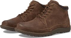 Ботинки на шнуровке Nigel Boot Born, цвет Rust/Brown Combo