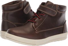 Ботинки на шнуровке Niles Deer Stags, цвет Dark Brown