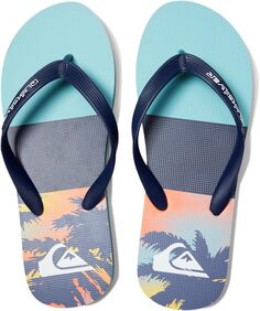 Шлепанцы Molokai Print Quiksilver, цвет Blue 5