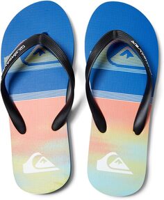 Шлепанцы Molokai Print Quiksilver, цвет Blue 4