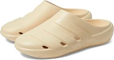 Сабо Adicane Clog adidas, цвет Sand Strata/Sand Strata/Sand Strata