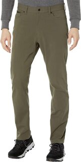 Полевые брюки с пятью карманами The North Face, цвет New Taupe Green