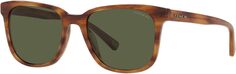 Солнцезащитные очки 0HC8313U COACH, цвет Amber Horn/Dark Green Solid