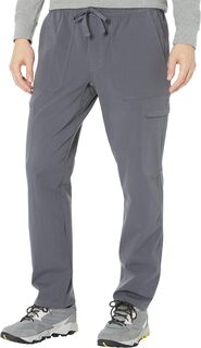 Полевые брюки-карго The North Face, цвет Vanadis Grey