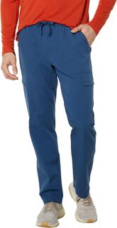 Полевые брюки-карго The North Face, цвет Shady Blue