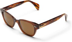 Солнцезащитные очки 49 mm 0RB0880S Ray-Ban, цвет Transparent Brown/Brown Polarized