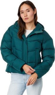 Пуховик Popham L.L.Bean, цвет Dark Pine L.L.Bean®