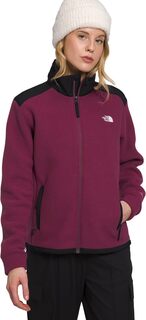 Куртка Alpine Polartec 200 Full Zip Jacket The North Face, цвет Boysenberry/TNF Black