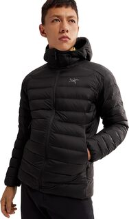 Куртка Cerium Hoody Arc&apos;teryx, черный Arc'teryx