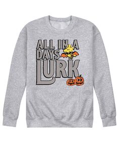 Мужская флисовая футболка Peanuts Days Lurk AIRWAVES, серый