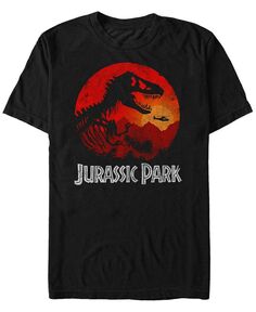 Мужская футболка с короткими рукавами «Парк Юрского периода» и «Закат в джунглях» Fifth Sun, черный