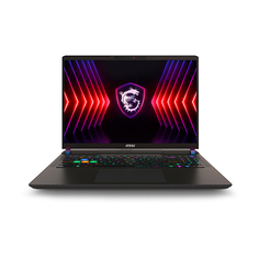 Игровой ноутбук MSI Vector 16 HX, 16&apos;&apos;, 16 ГБ/1 ТБ, i9-14900HX, RTX 4060, серый, английская клавиатура