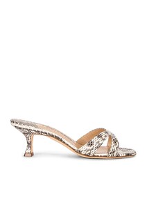 Туфли Manolo Blahnik Callamu 50 Snake Print, цвет Multi