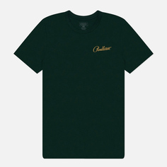 Мужская футболка Pendleton Tye River Buffalo Graphic, цвет зелёный