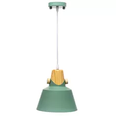 Светильник подвесной Prato 1 лампа 5 м² цвет зелёный Lamplandia