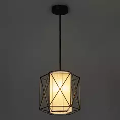 Светильник подвесной Freya FR4313-PL-01-BL 1 лампа цвет черный