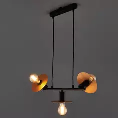 Светильник подвесной Freya FR4009PL-03GB, 3 лампы, 12 м², цвет черный